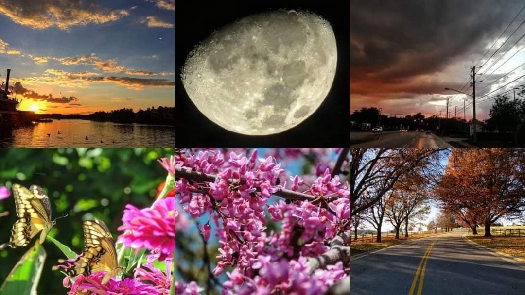 nude wallflower94 bisexual